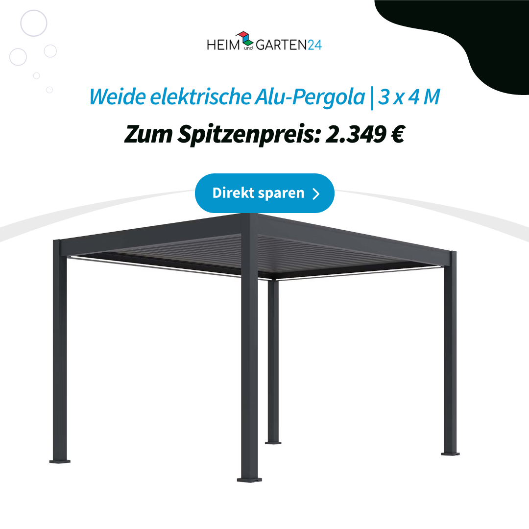 Banner-Sales