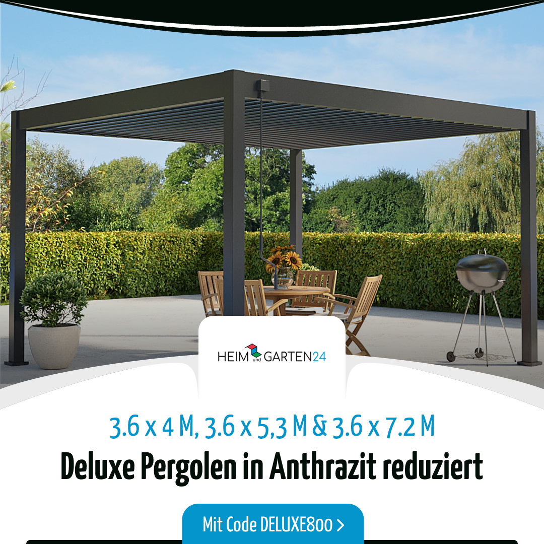 Banner-Sales